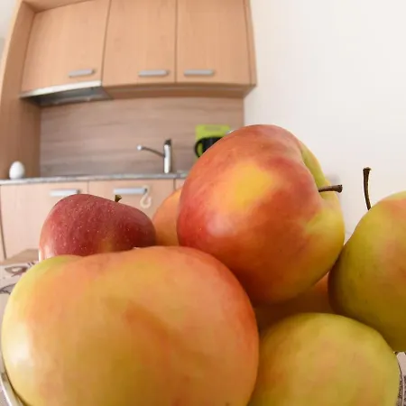 公寓 Urbanhof Prantenberger 博尔扎诺