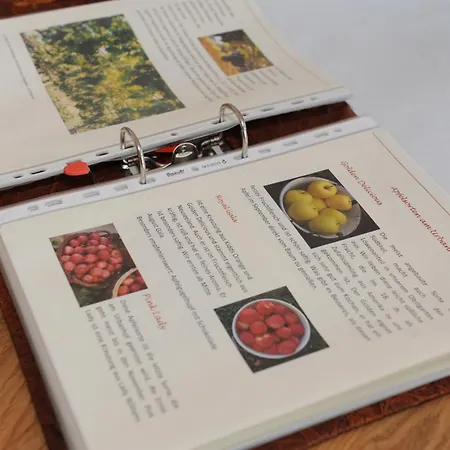 Apartment Urbanhof Prantenberger *