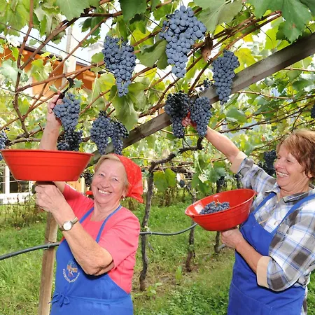 Apartment Urbanhof Prantenberger *