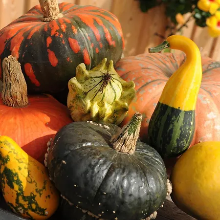 公寓 Urbanhof Prantenberger 博尔扎诺