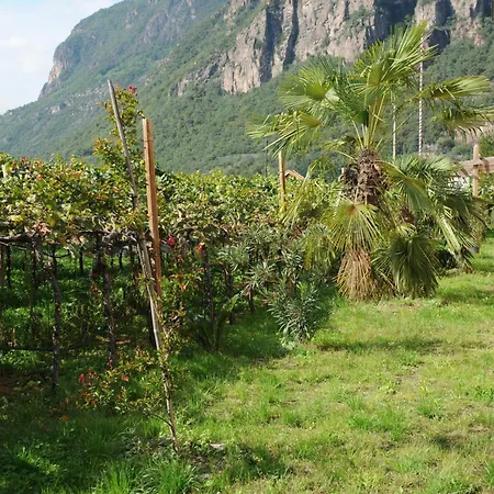 公寓 Urbanhof Prantenberger 博尔扎诺