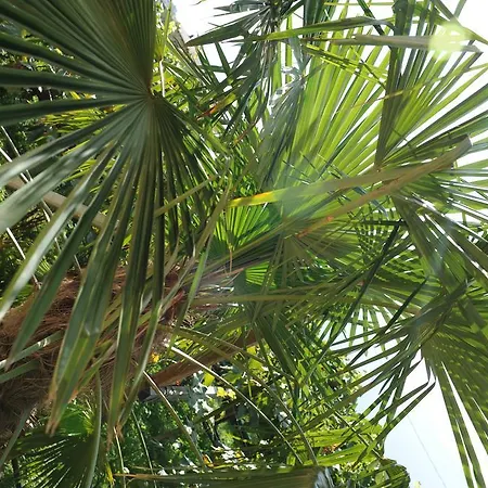 Urbanhof Prantenberger 公寓 *