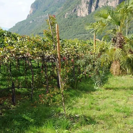 Urbanhof Prantenberger 公寓 博尔扎诺