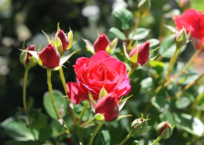 Apartment Urbanhof Prantenberger Bozen