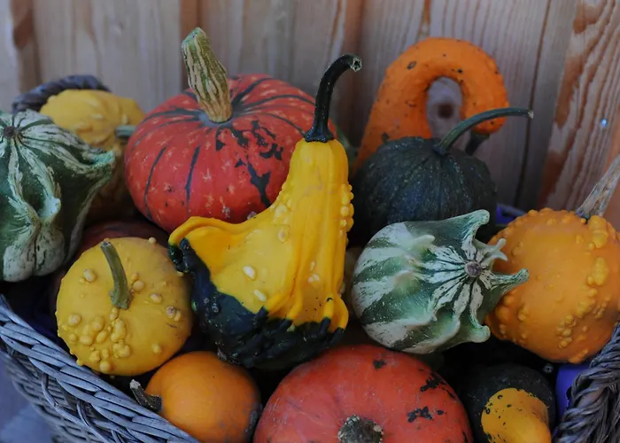 Urbanhof Prantenberger