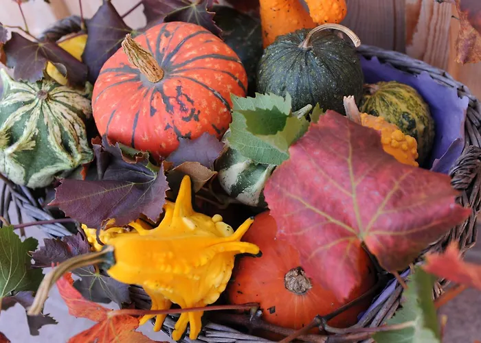 Apartment Urbanhof Prantenberger *