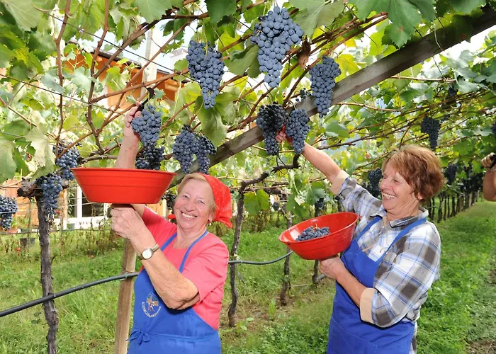 Apartmán Urbanhof Prantenberger *