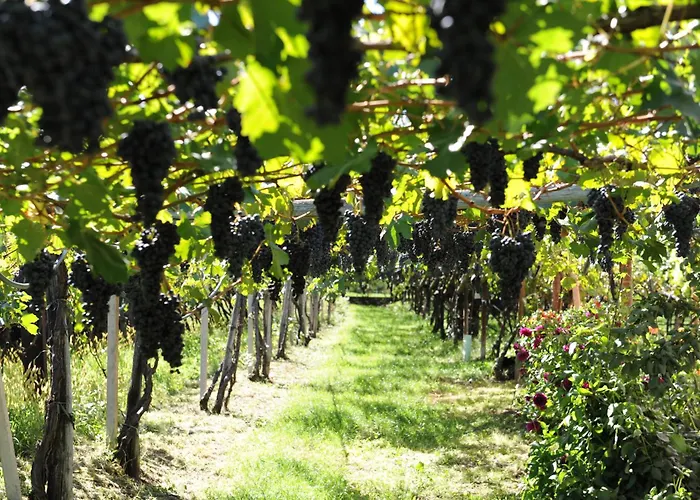 Apartmán Urbanhof Prantenberger Bolzano