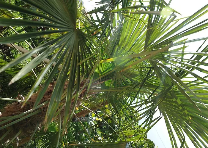 Urbanhof Prantenberger Apartmán *