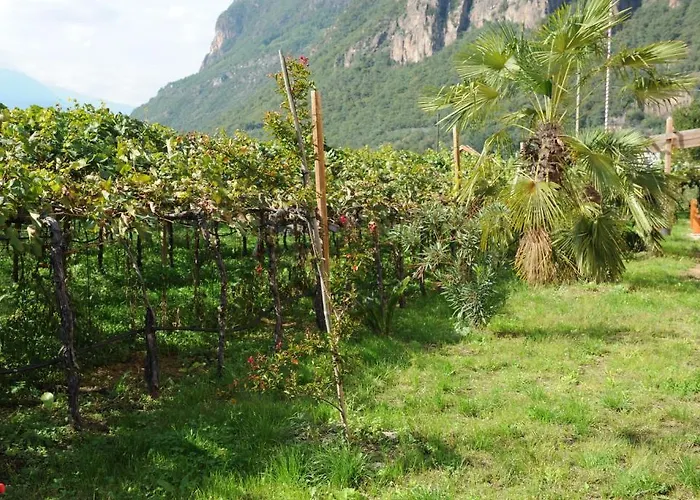 Urbanhof Prantenberger Apartment Bozen