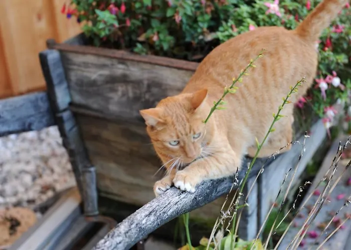 Urbanhof Prantenberger *